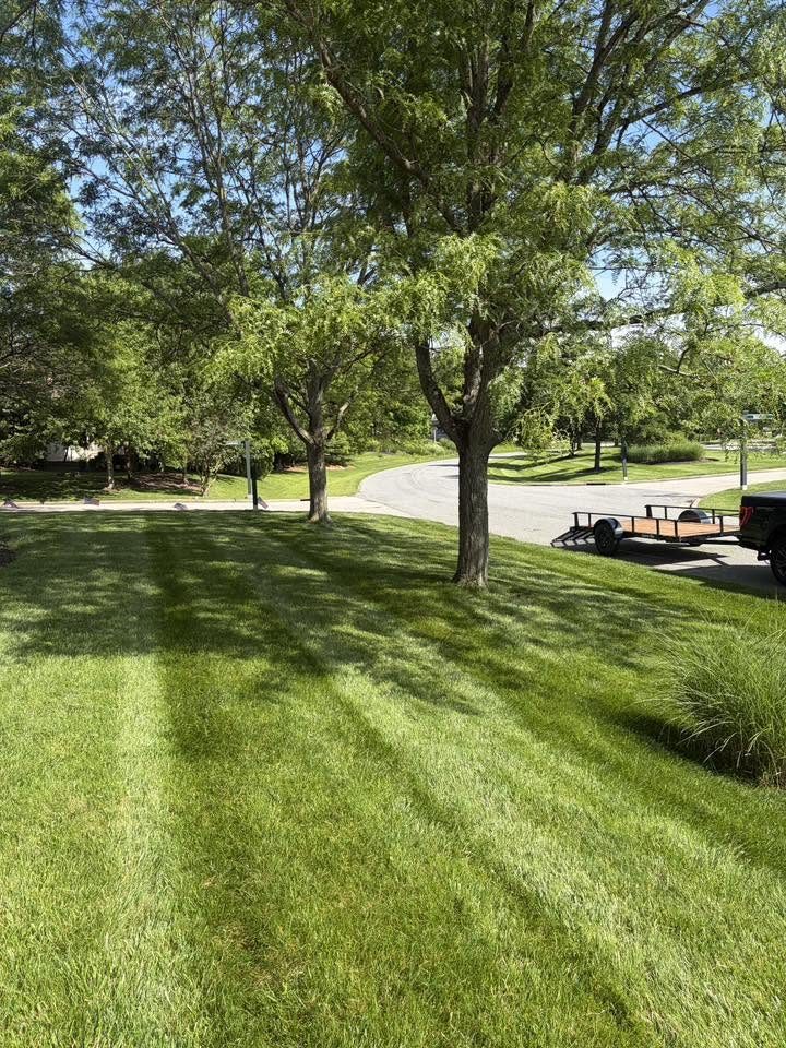 Freshly striped mowed lawn, Columbus OH