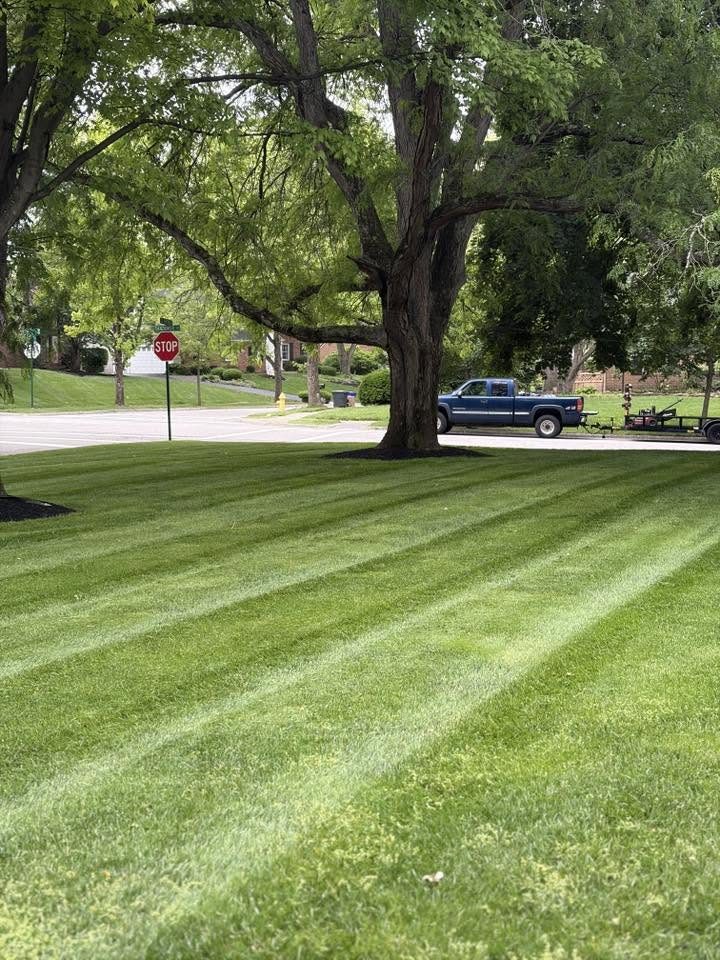 Front yard mowing and trim, Columbus OH