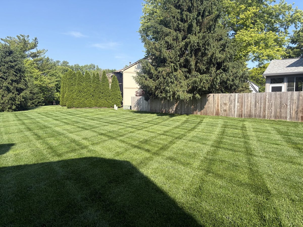 Backyard mowing with crosshatch pattern, Columbus OH