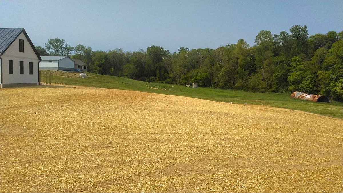 Lawn grading and seeding with straw erosion blanket, Columbus OH