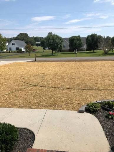 Front yard grading and seeding, Columbus OH